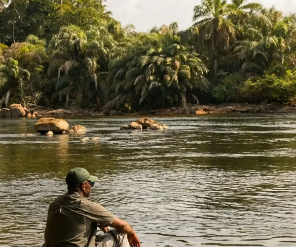 Gemini_Generated_Image_9ls01y9ls01y9ls0