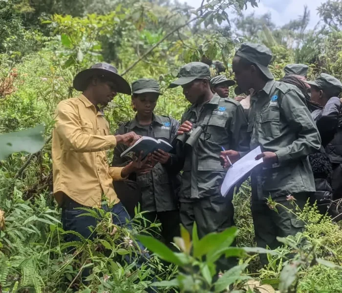 People in field with booksd86a2e6b-8255-47e8-a1bf-9e44382c8746